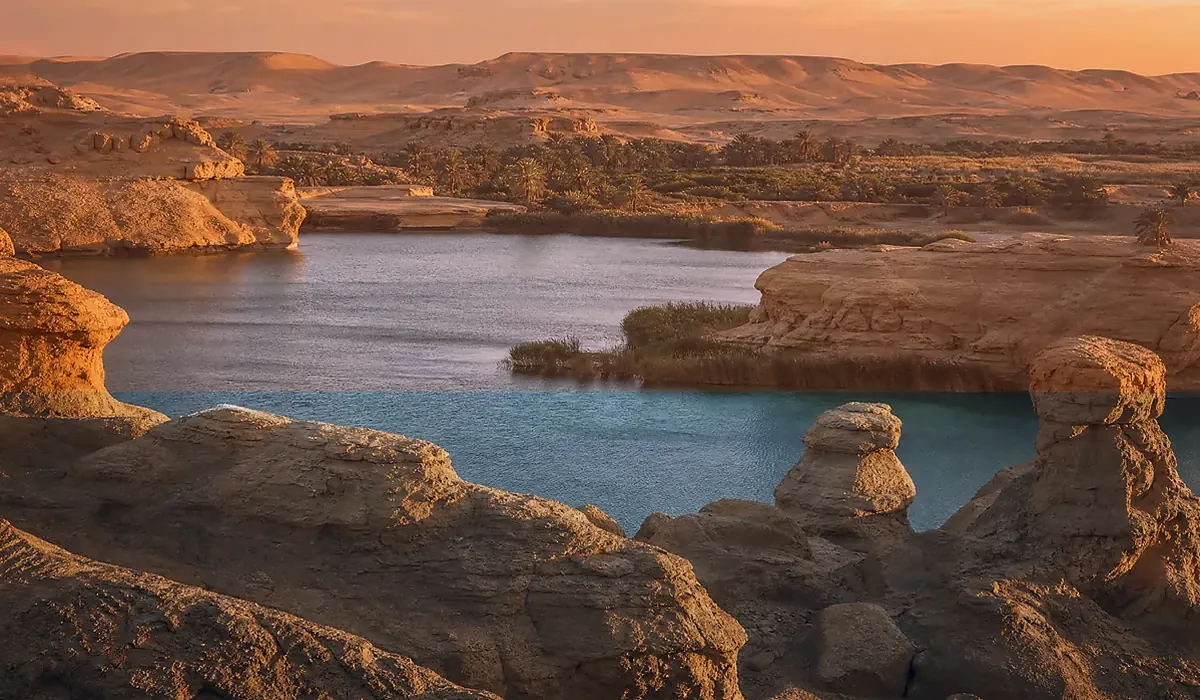 Fayoum: A food and local flavour guide for an Egypt journey